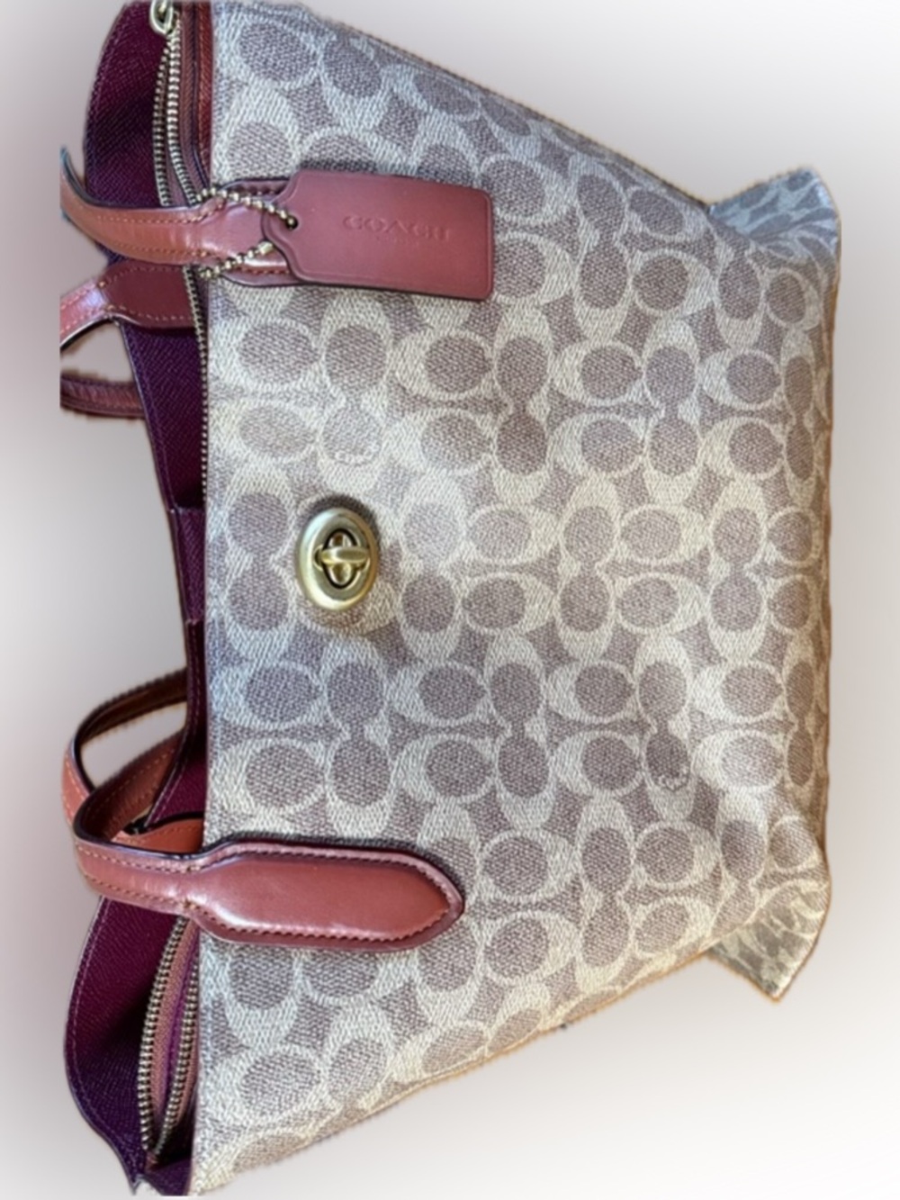 Coach Signature willow